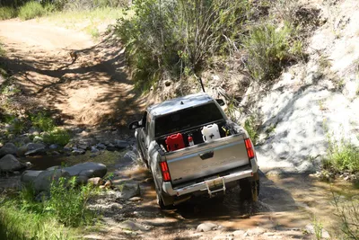 DSC_5915 (Large).JPG